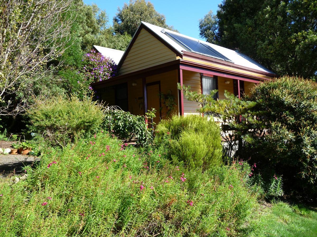 Lemonade Creek Cottages Lorne Exterior photo